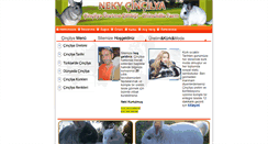 Desktop Screenshot of nekychinchilla.com