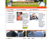 Tablet Screenshot of nekychinchilla.com